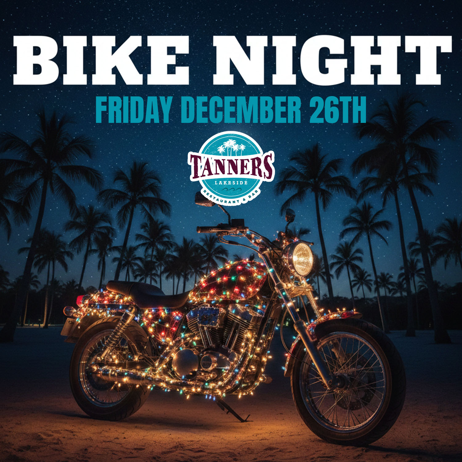 bike night christmas